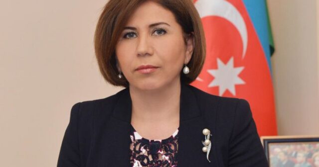 Bahar Muradovanın sədri olduğu dövlət komitəsi “TRAVEL” şirkətinə 200 min AZN köçürə bilər