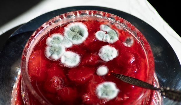 Kiflənmiş halda hansı qidaları istehlak etmək olmaz?