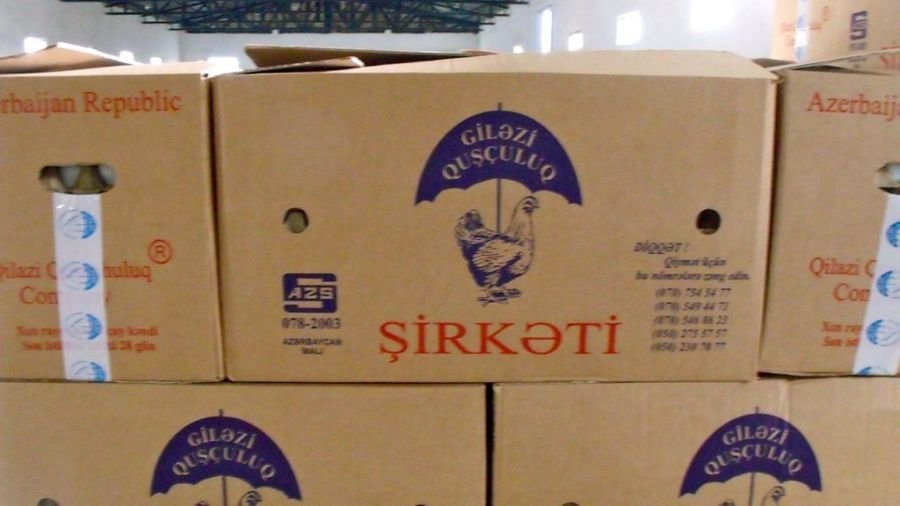 Haqqı tapdanan işçilərdən ŞOK FAKTLAR… – “Vergidən yayınmaq üçün…”