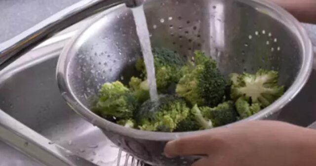 Saatlarla yusanız da bakteriyadan qurtulmur, sirkəli suda isladın