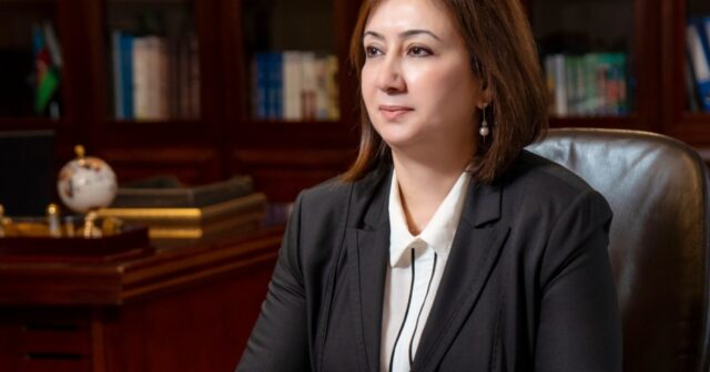 Təhsili “abad” edən Mehriban Vəliyevanın seçkidəki rəqiblərini tanıyın – işsizlər, “JEK” üzvləri…