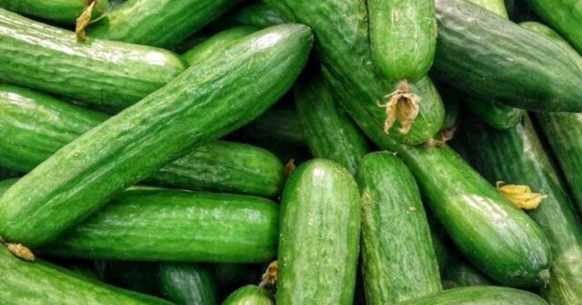 Böyrəkləri sağlam saxlamaq üçün nə yemək lazımdır?