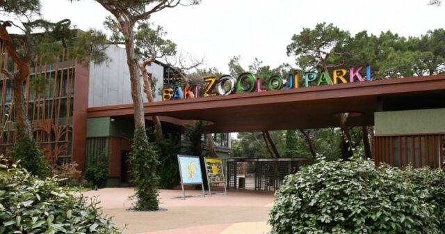 Bakı Zooparkı kərə yağı istehsal edən şirkətdən heyvan yemi alır