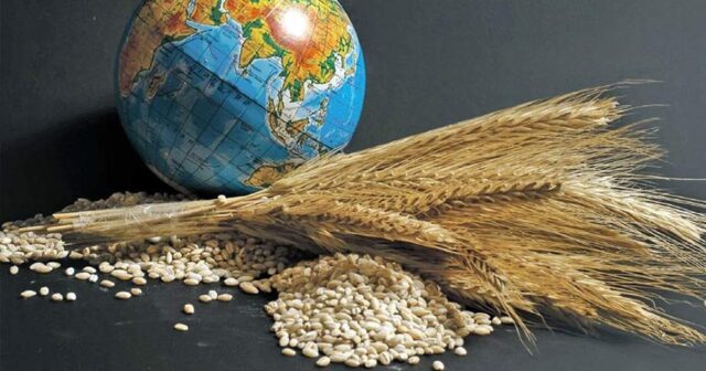 Dünya ərzaq böhranı ilə üz-üzədir, bu ərzaqlar… – ARAŞDIRMA