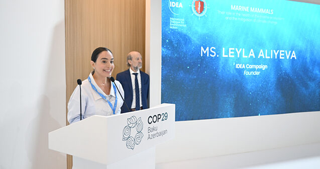 Leyla Əliyeva COP29 çərçivəsində müzakirələrdə iştirak etdi – Fotolar