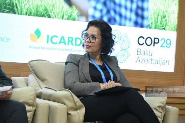 CGIAR rəsmisi : “Dünyada milyonlarla insan aclıqdan əziyyət çəkir”