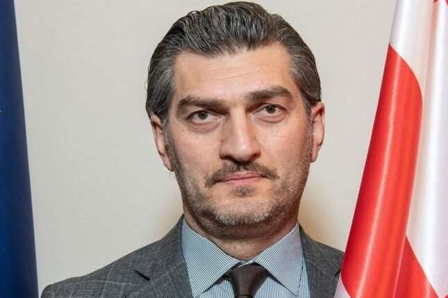 Gürcüstanın hakim partiyası prezidentliyə namizədini rəsmən qeydə aldı