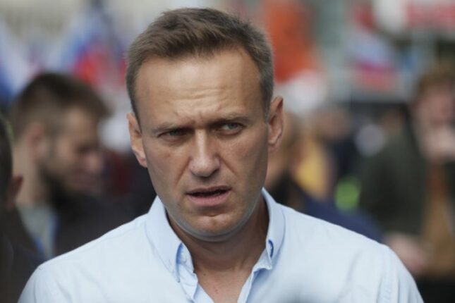 Aleksey Navalnının vəkillərinə hökm oxundu
