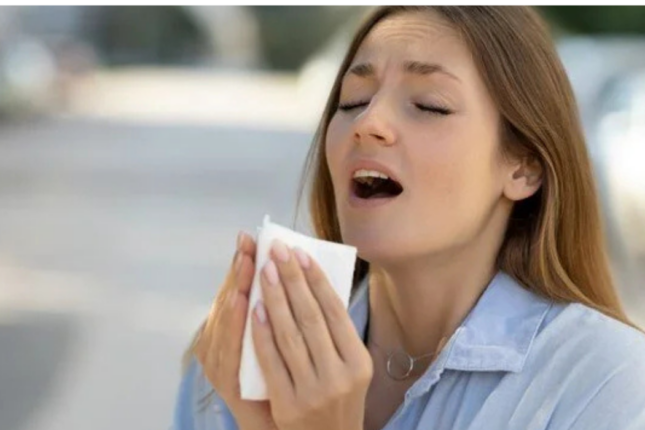 Bahar allergiyasını yüngülləşdirən 5 qida