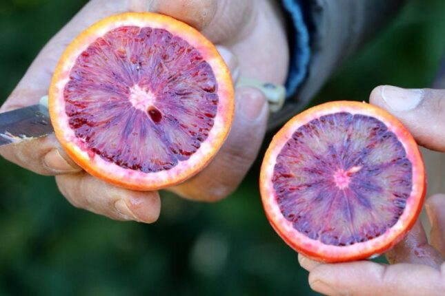 Bu meyvə sağlamlıq üçün əvəzolunmazdır