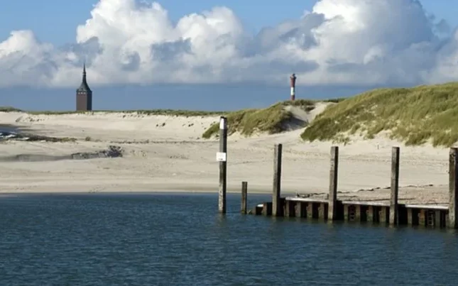 Almaniyada qəzetdə qəribə elan: Mer axtarılır