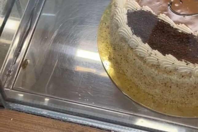 “Azcake”ə məxsus mağazanın vitrinində tarakan gəzişir – VİDEO