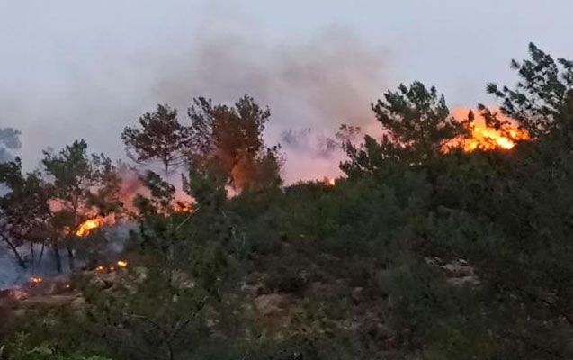 Xaçmazın dörd, Qubanın bir kəndində yanğın baş verib