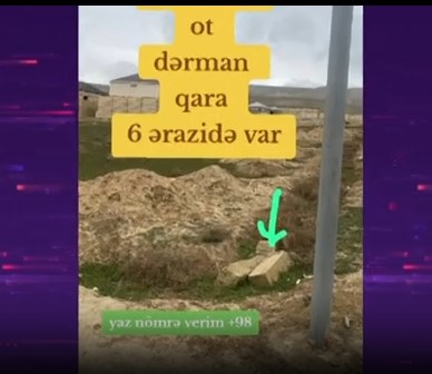 Sosial şəbəkələrdə narkotik vasitələrin açıq şəkildə alveri gedir -VİDEO