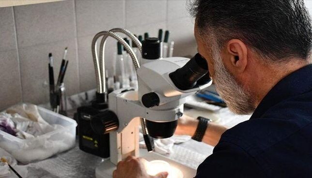 Çinli alimlər elmə məlum olmayan canlı aşkar ediblər