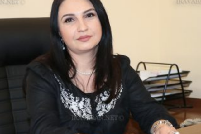 “Kremldən tapşırıq alıb, Qarabağ ermənilərini aksiyaya çıxarırlar”