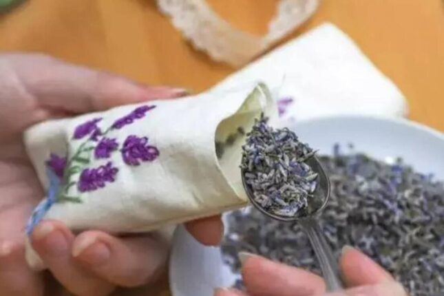 Damarları açır, ürəyi gücləndirir – Gündə iki qaşıq…