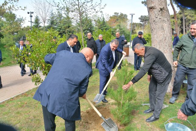 Xətai rayonunda ağacəkmə aksiyası təşkil olunub – FOTOLAR