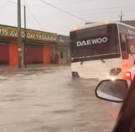 Bakı leysana təslim oldu – Video