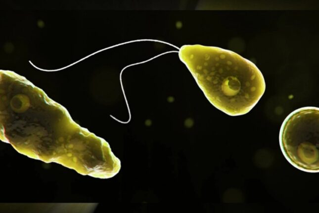 Bu xəstəliyin müalicəsi yoxdur – Sudan keçən ÖLÜMCÜL XƏSTƏLİK