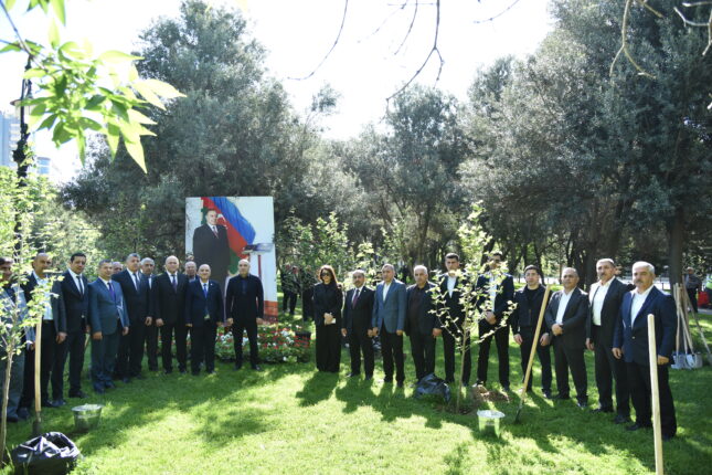 Nəsimidə ağacəkmə aksiyası keçirildi – Fotolar