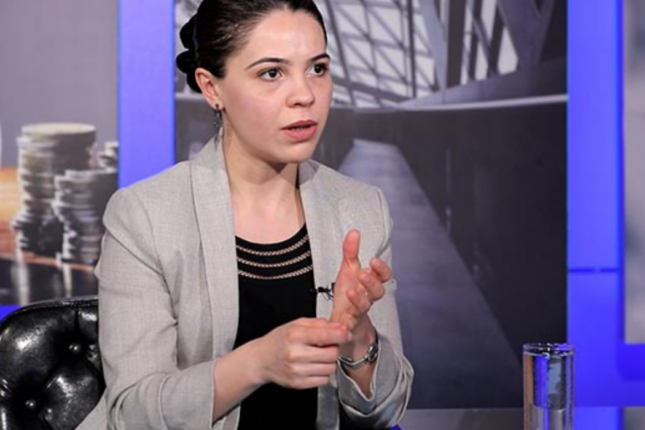 Erməni ekspert: “Azərbaycandan nümunə götürün”
