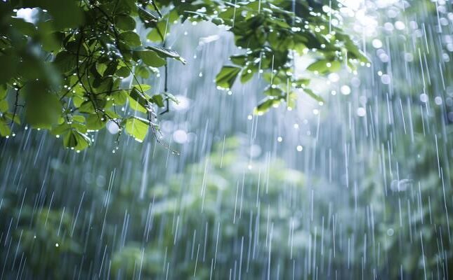 Hava şəraiti ilə bağlı xəbərdarlıq: Mayın 5-dək…