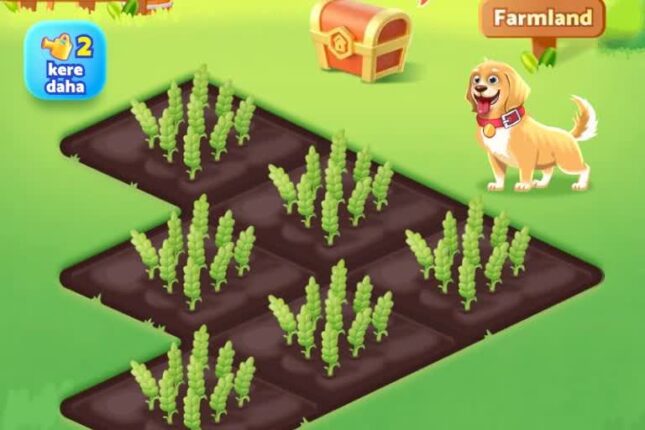 “Temu Farmland” saxtakarlığı – Bunu edin ki, aldanmayın