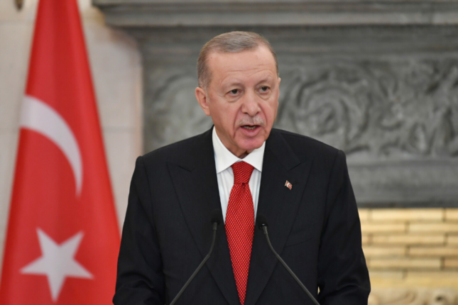 Ərdoğan: Burada üç dövlət, tək millət var – VİDEO