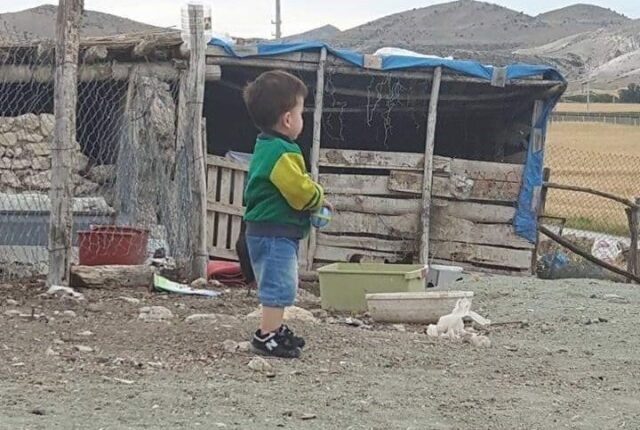Ağcaqanad 1 yaşlı uşağın həyatını məhv etdi – 6 ildir yataq xəstəsidir – FOTO