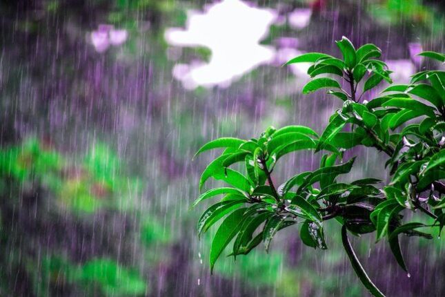 Yağışlı və küləkli hava bu tarixədək davam edəcək