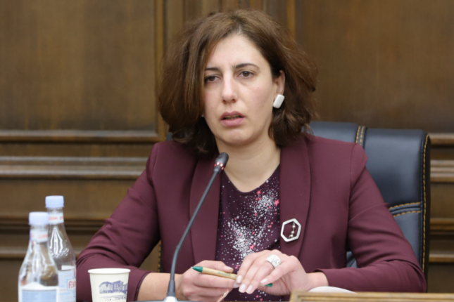 “İrəvan Qərbi Azərbaycan və Böyük Turana “hə” deyib”