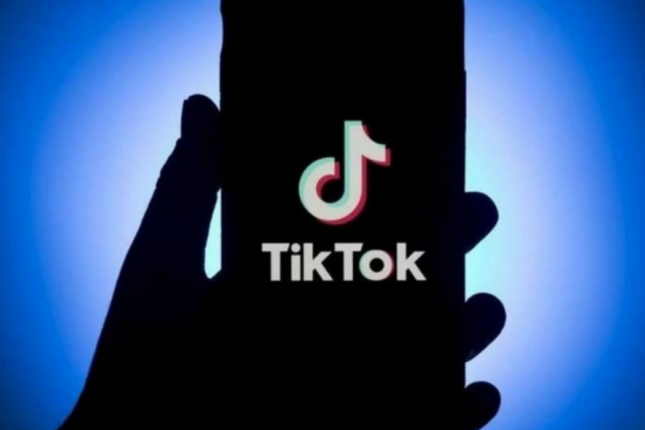 Azərbaycanda uşaqların tiktoka girişinin qadağan edilməsi təklif olunur