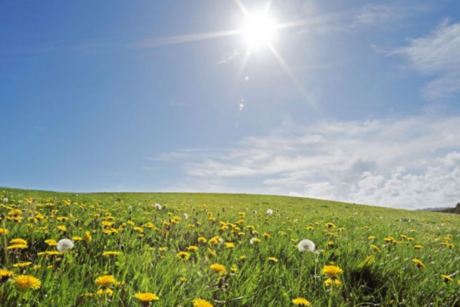 Bayram gününün havası açıqlandı