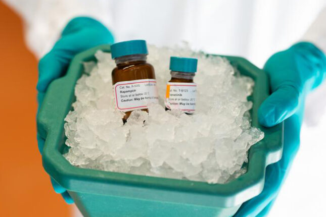 Qocalma əleyhinə dərman hazırlanıb: Ömrü 30% uzadır