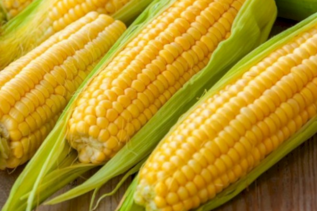 Qarğıdalı yeməyin faydası