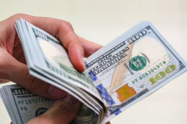 Pulunu dollarla saxlamaq istəyənlərə VACİB XƏBƏR