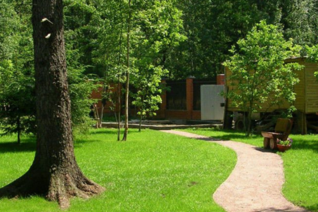 “Premium Park Neftçilər” layihəsini inşa edən şirkət ağacları kəsdi