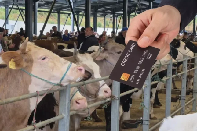 Kredit kartı ilə qurban almaq olarmı? Şərtlər AÇIQLANDI