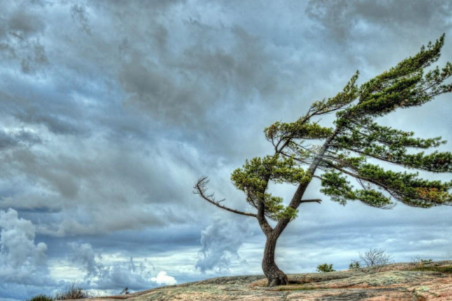 Üç gün güclü külək əsəcək (XƏBƏRDARLIQ)