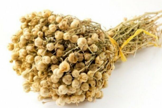 Xaricə üzərlik aparmayın! – Həbs oluna bilərsiniz