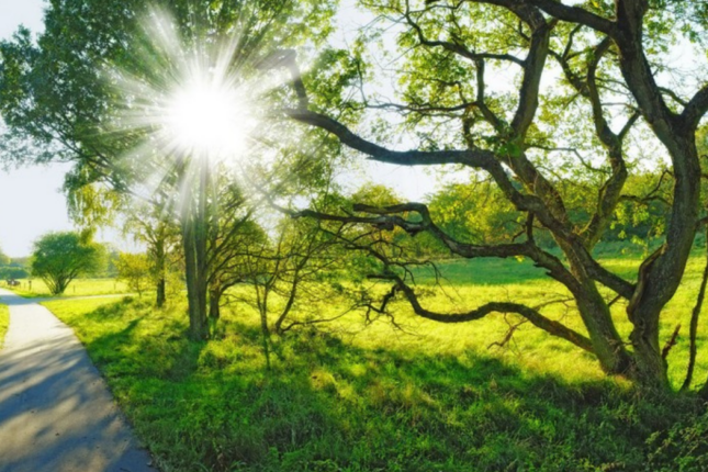 Gün ərzində havanın maksimal temperaturunun qeydə alındığı ərazilər açıqlanıb