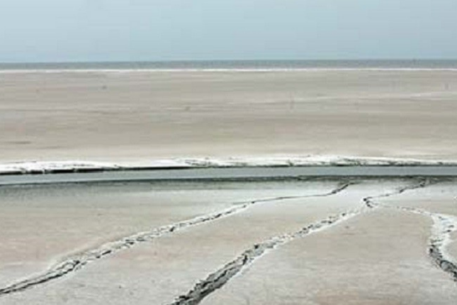 Kəleybərli deputat: “Urmunu bərpa edə bilməsək, bölgə quru çöllüyə çevriləcək”