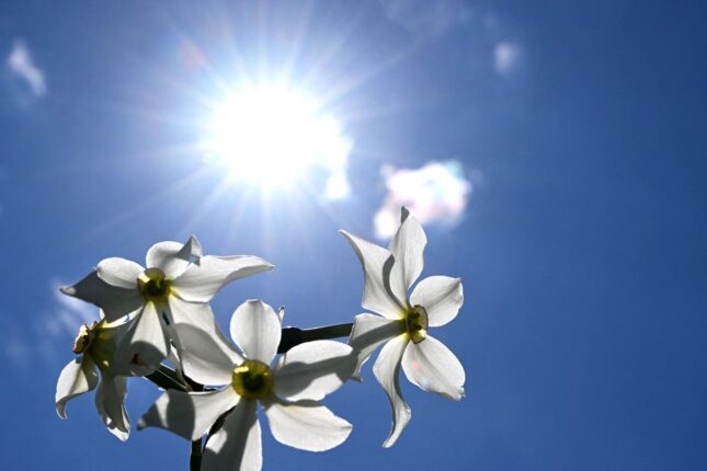 Sabaha olan hava PROQNOZU