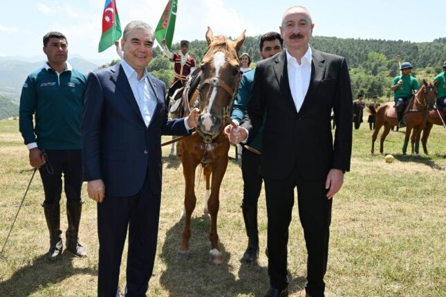 Prezident ona “Dostluq” adlı Qarabağ atı hədiyyə etdi – Fotolar