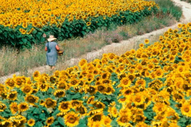 10,000 addım mifi dağıldı: Gündə 7,000 addım yetər ki, sağlam qalasınız!