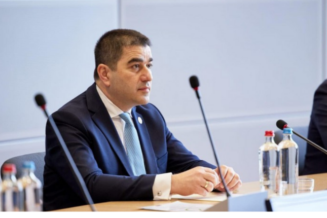 Şalva Papuaşvili: Saakaşvili əfv edilməyəcək