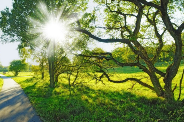 Bazar gününün hava proqnozu açıqlandı