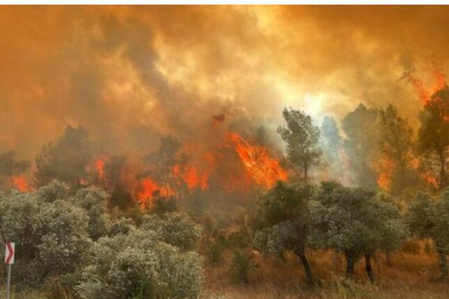Füzulidəki yanğın Hadruta çatır