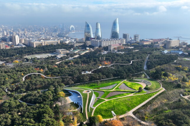 Mərkəzi Nəbatat Bağında 7 yaşlı uşağı ilan sancdı – Vəziyyəti ağırdır